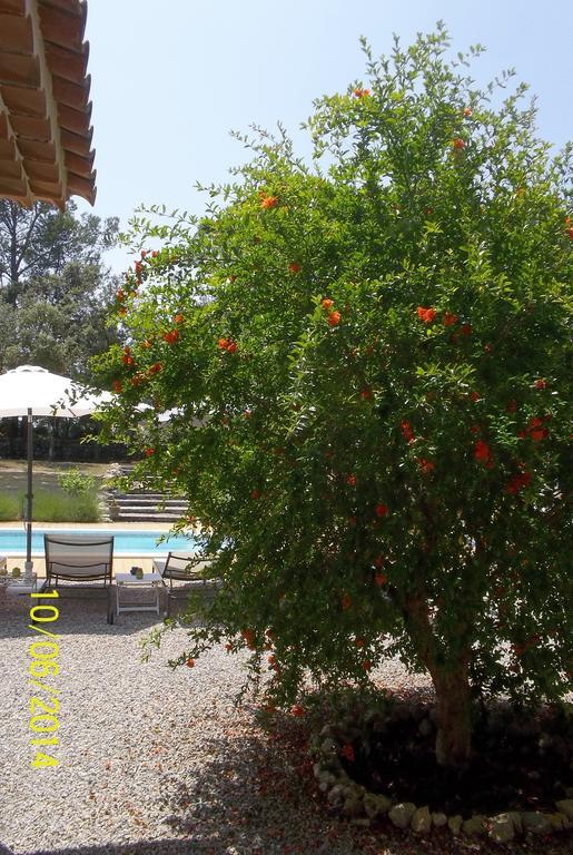 Maprovencale Bed & Breakfast Les Arcs-sur-Argens Exterior photo
